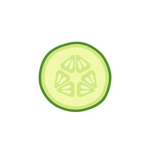 Slice of fresh cucumber with seeds in flat style. Vector illustration isolated on white background