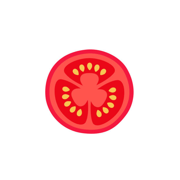 Tomato slice on white background Slice of ripe tomato with seeds in flat style. Vector illustration isolated on white background tomato slice stock illustrations