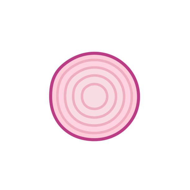 Onion slice on white background Slice of red onion icon in flat style. Vector illustration isolated on white background onion layer stock illustrations