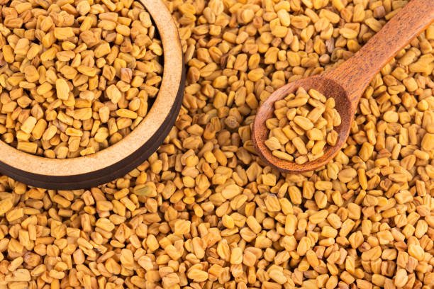istock Fenugreek seeds. Trigonella foenum-graecum. 1166389399