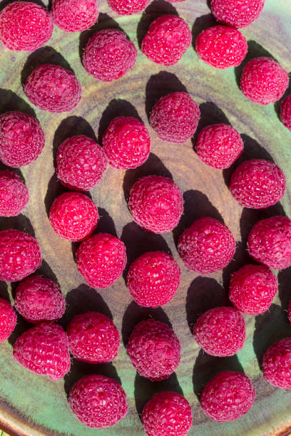 Raspberry berries on a plate. Top view