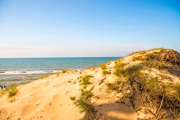 istock Baltic Sea in Poland with dunes 1166390749