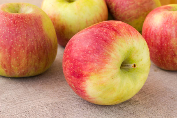 istock Ripe red apples. Close up 1166390855