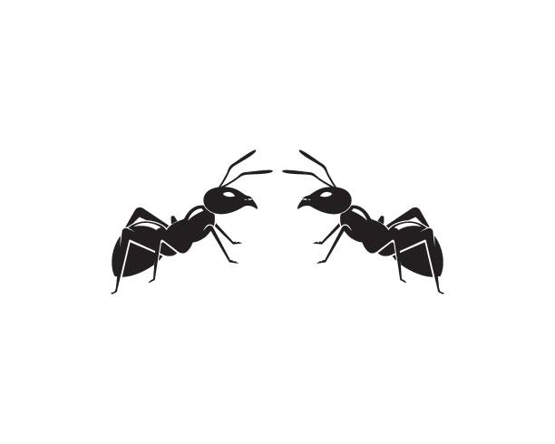 ant ロゴ テンプレート ベクトル イラスト - アリ点のイラスト素材／クリップアート素材／マンガ素材／アイコン素材