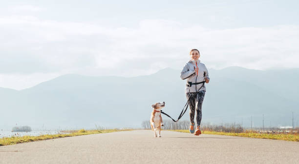 exercices ensoleillés de canicross du matin. la femelle court avec son chien de beagle et le sourire heureux. - beautiful caucasian teenager running photos et images de collection