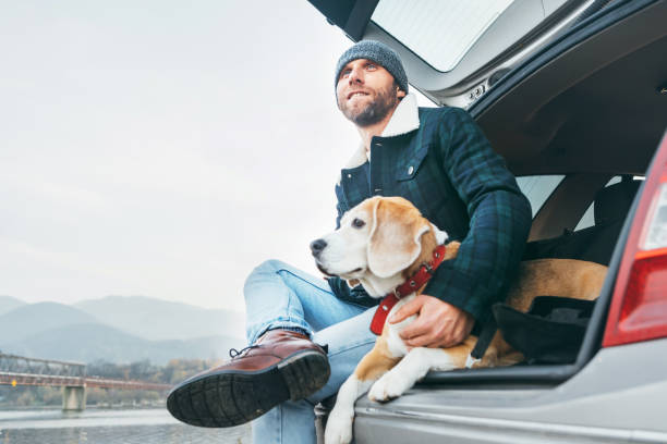 homem com o cão do beagle que situação junto no tronco de carro - dog insurance - fotografias e filmes do acervo