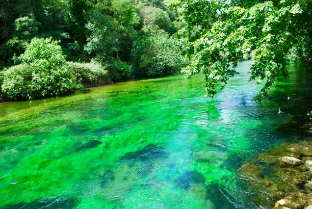 istock Sorgue River in Vaucluse Fountain, Provence 1166396057