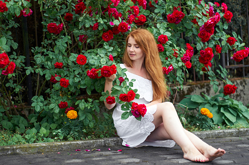 Beautiful redhead girl with bare feet wearing in a white stylish dress sitting on background of blooming roses and holding a branch with a roses. Summertime.