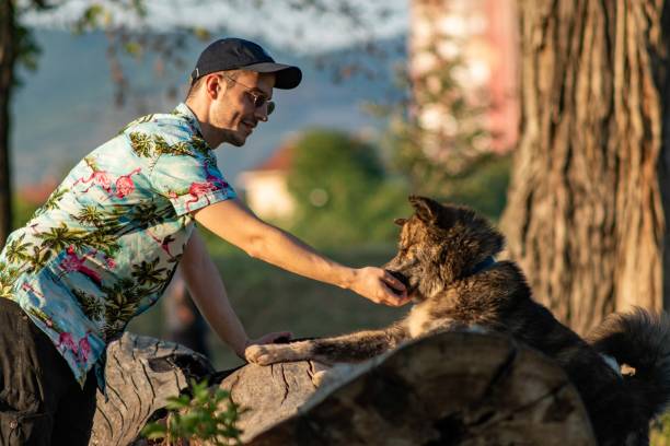 el hombre ama su foto de stock de perro mascota - pet toy dachshund dog toy fotografías e imágenes de stock