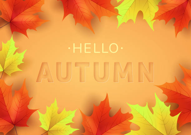 istock Autumn text greeting in banner design with colorful leaves on orange background. 3D text with stamping.Vector illustration 1166399709