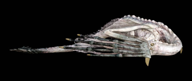 istock 3D dragon fantasy illustration 1166400285