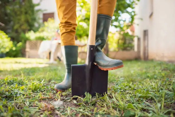 Photo of So let's start gardening!