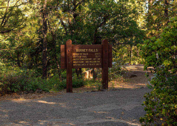 istock Mcarthur-Burney Falls trail sign 1166403054