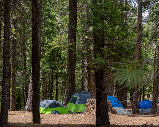 istock Camping in the Sierra Nevada 1166403065