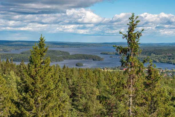 istock Scandinavian landscape with lakes 1166405852