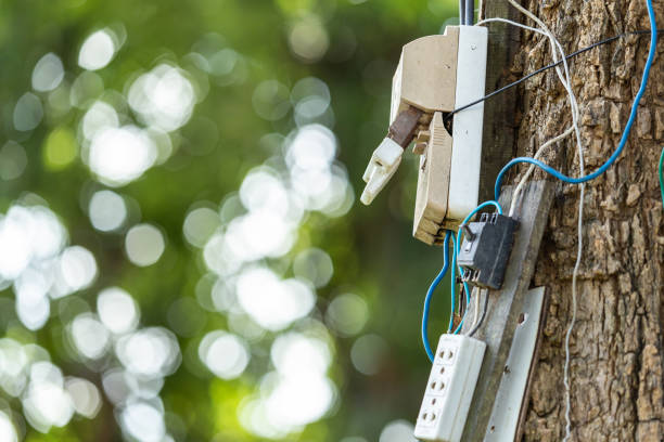 istock Dangerous electric cable and equipment set up on the tree 1166406659