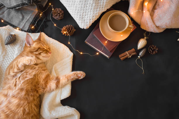 istock Ginger cat and Christmas decor 1166407286