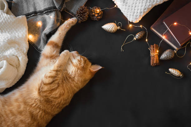 istock Ginger cat and Christmas decor 1166407303