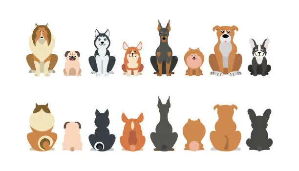 Vector illustration of Vector illustration of funny cartoon dogs breeds set.