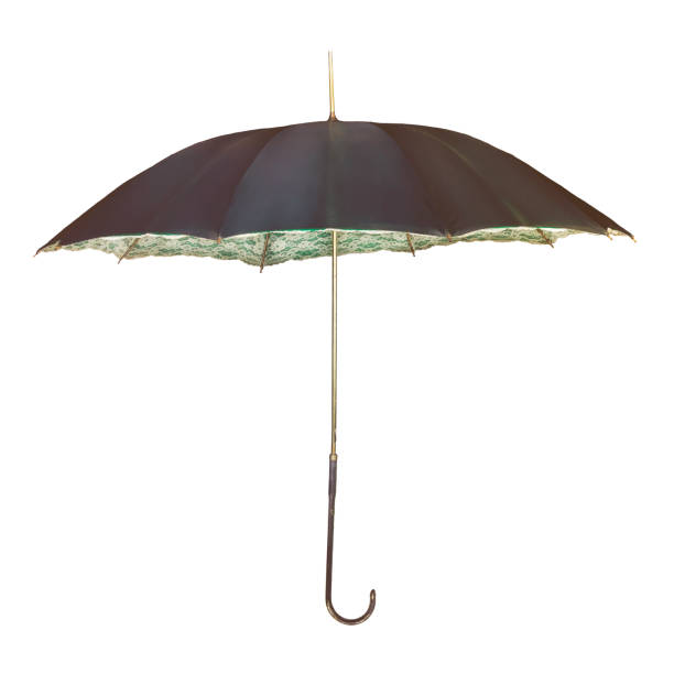 Vintage umbrella with romantic inner flower decoration isolated on a white background