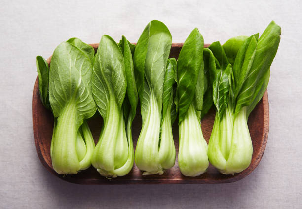 bok choy. - chinesischer senfkohl stock-fotos und bilder