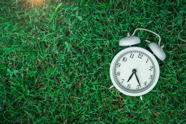 istock Alarm Clock On The Lawn 1166413433
