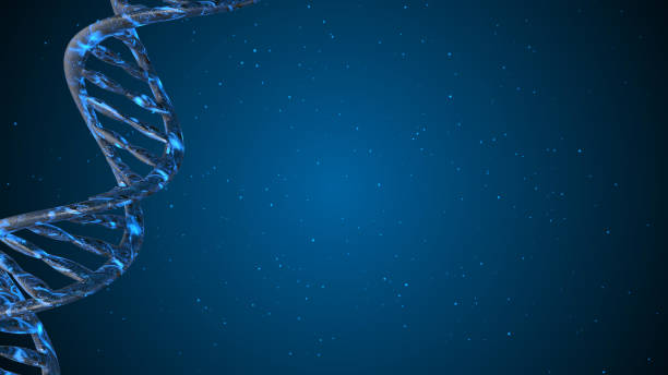 DNA. Abstract 3d polygonal wireframe DNA. stock photo