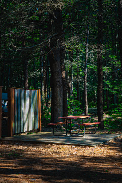 istock Picnic table in a wooded area 1166416178