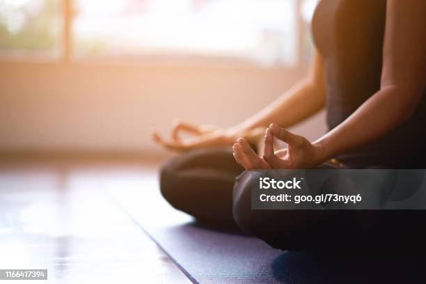 Women In Meditation While Practicing Yoga In A Training Room Happy Calm And Relaxing Stock Photo - Download Image Now