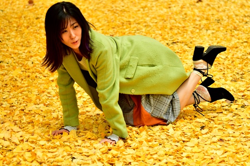 A Japanese woman in her 20's is crouching/kneeling down on the thick, golden carpet of fallen leaves of ginkgo tree in a public park in Tokyo.