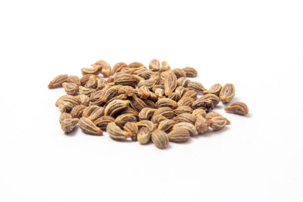 istock Pile of Parsley seeds on white background 1166420449