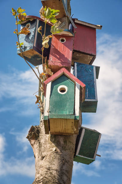 bird_houses - birdhouse bird house ornamental garden fotografías e imágenes de stock