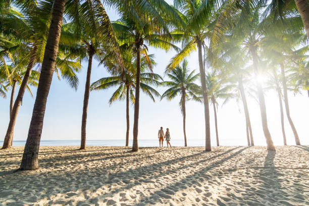 pareja de pie en la playa de arena entre palmeras en la mañana soleada - romantic getaway fotografías e imágenes de stock