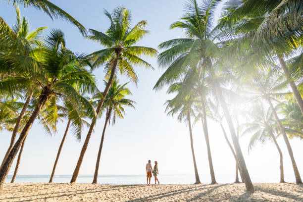 istock Couple standing on sandy beach among palm trees on sunny morning 1166424257