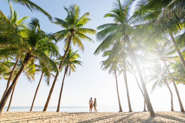 Couple standing on sandy beach among palm trees on sunny morning stock photo