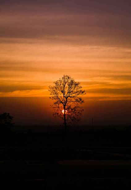 Stunning view of the Sun as it sets down and got \