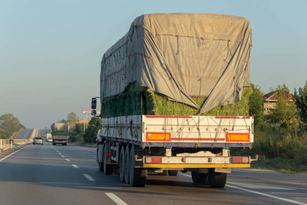 istock Logistics Truck Carrying Straw Stacks 1166425501