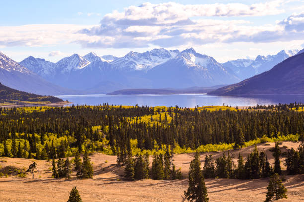 湖の景色を望む砂漠 - yukon ストックフォトと画像