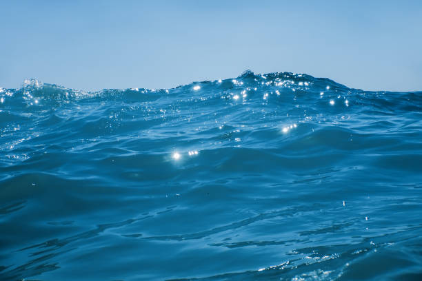 Sea wave close up, low angle view water background