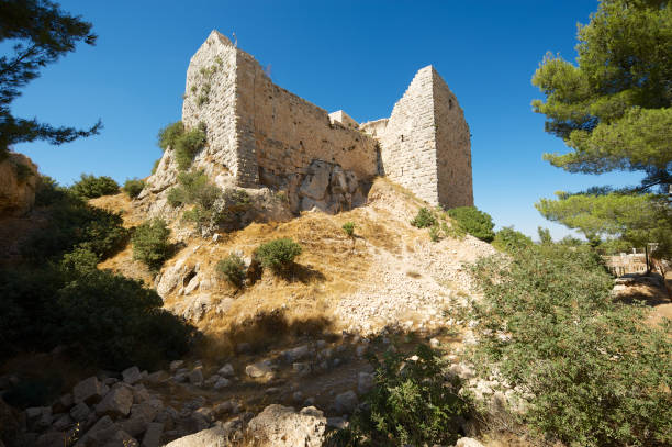 ruines de forteresse d'ajloun sur la colline à ajloun, jordanie. - ajlun photos et images de collection