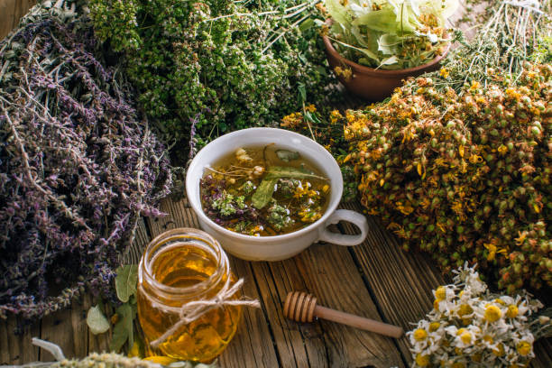 istock Herbal tea, harvesting wild healing herbs 1166427712
