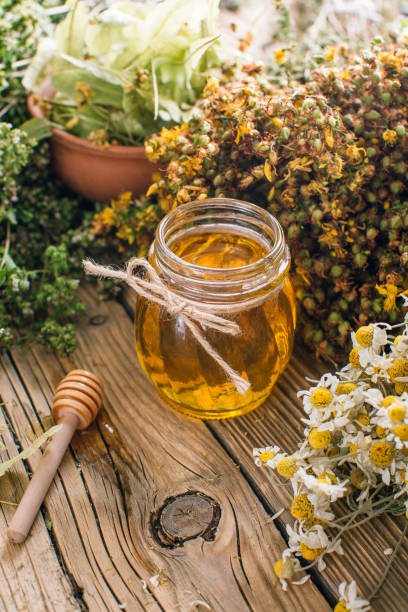 istock Flower honey, harvesting wild healing herbs 1166428045