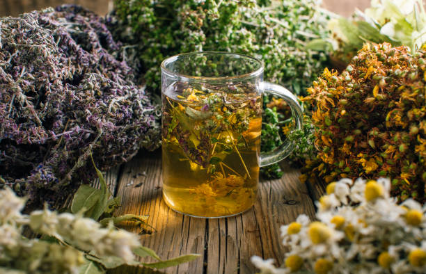 istock Herbal tea, harvesting wild healing herbs 1166428528