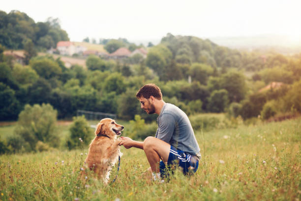 istock Guy and his dog having a fun in the nature 1166429710