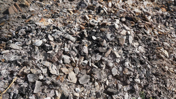 istock Burnt coal remains. burnt coal ash and remains, 1166429934