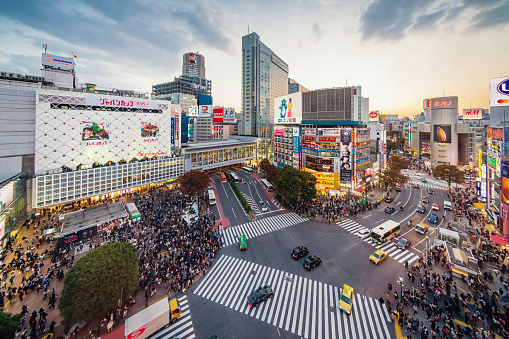 Aerial View of people waiting at the crowded crossing at Shibuya Crossing in Downtown Tokyo, illuminated Shibuya Buildings with billboards in the background. Twilight light, close to sunset. Shibuya Crossing, Shibuya Ward, Tokyo, Japan, Asia.