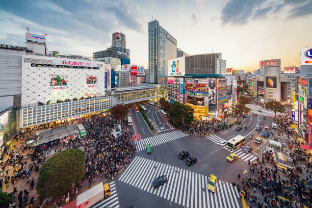 Aerial View Crowded Tokyo Shibuya Crossing Japan Aerial View of people waiting at the crowded crossing at Shibuya Crossing in Downtown Tokyo, illuminated Shibuya Buildings with billboards in the background. Twilight light, close to sunset. Shibuya Crossing, Shibuya Ward, Tokyo, Japan, Asia. shibuya district stock pictures, royalty-free photos & images