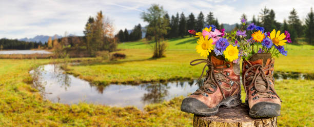 walking boots with beautiful flowers on trekking tour