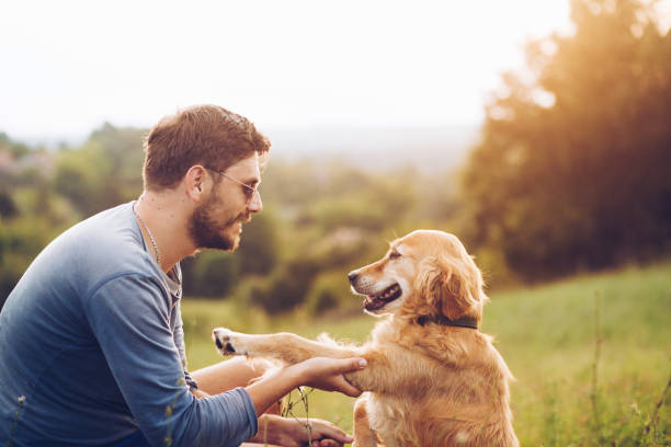 istock Guy and his dog having a fun in the nature 1166432240