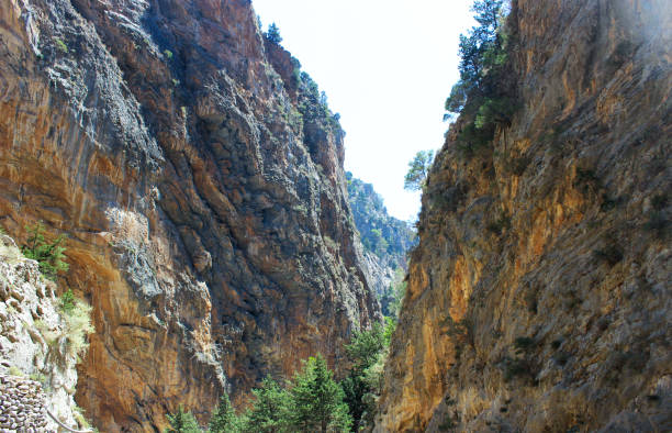 rocks and conifers. the gorge of samaria. pedestrian tour. - greece blue forest national landmark imagens e fotografias de stock